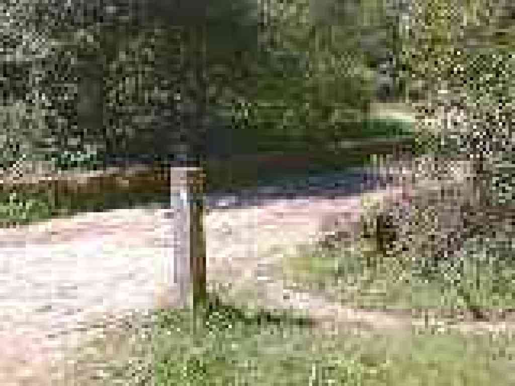 Junction