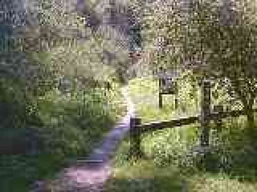 Cascade Trail
