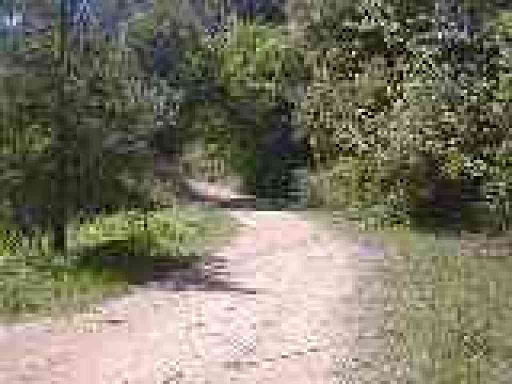 Start of Jackson Grade