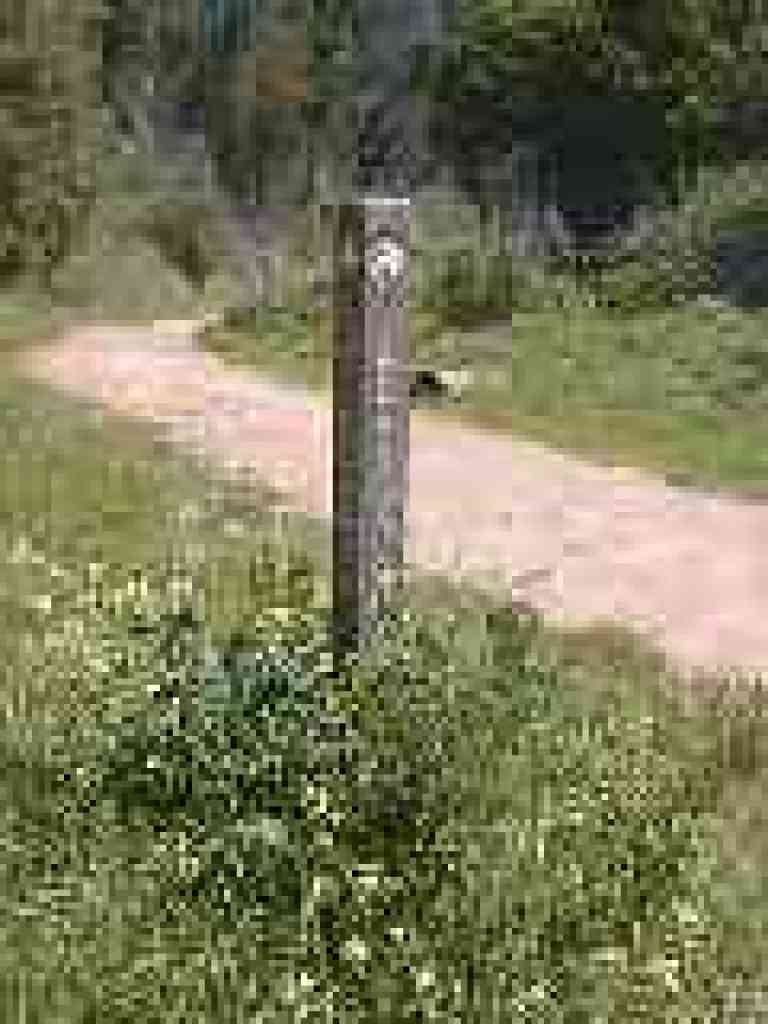 Junction
