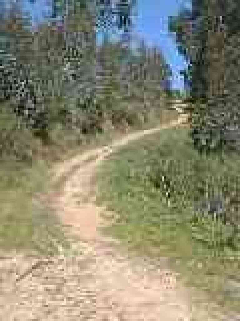 Climbing