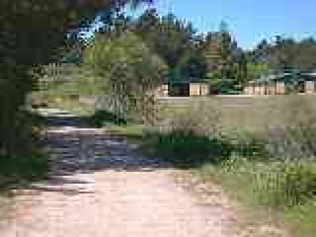 Near equestrian center