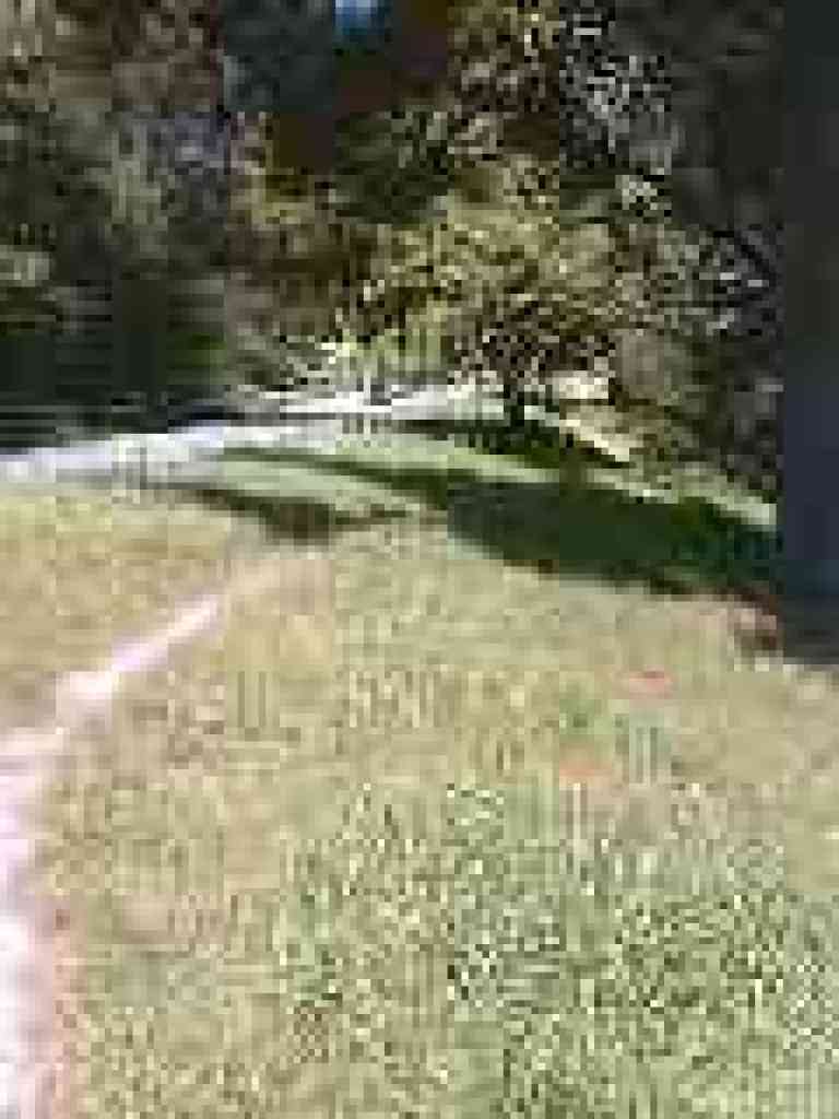 Edging along Skyline Boulevard