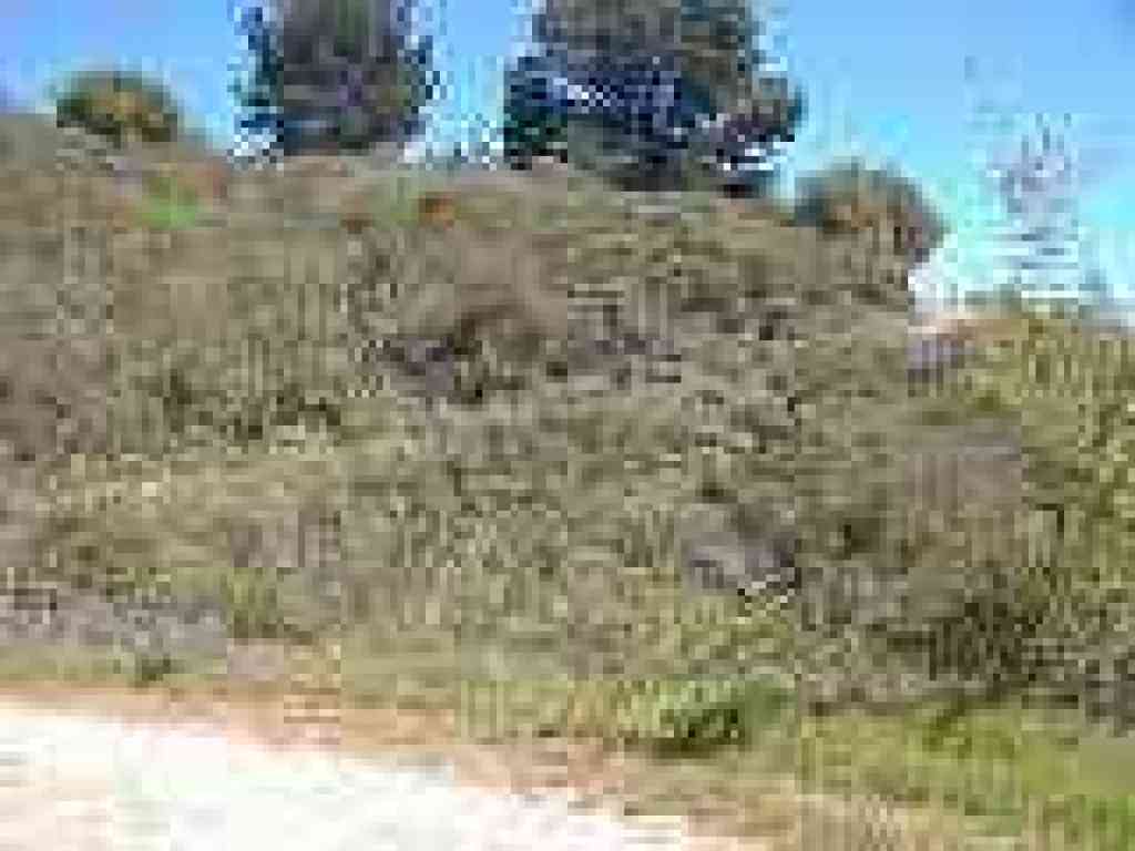 Trail climbs a bit
