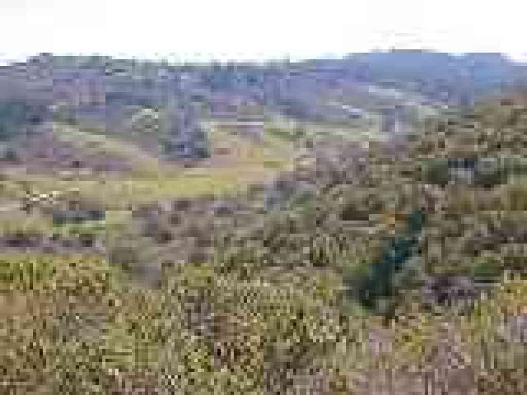 Valley