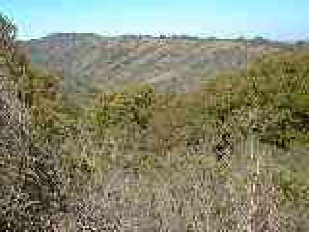 View northeast