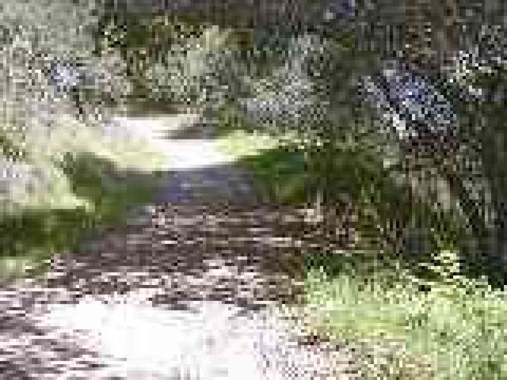 Junction