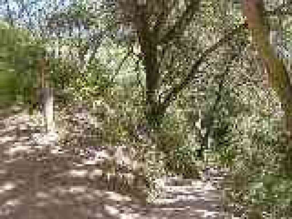 Start of Buckeye Trail