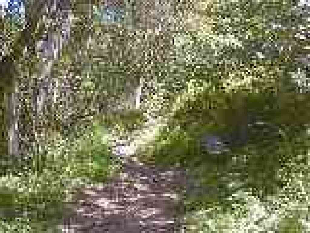 Bench