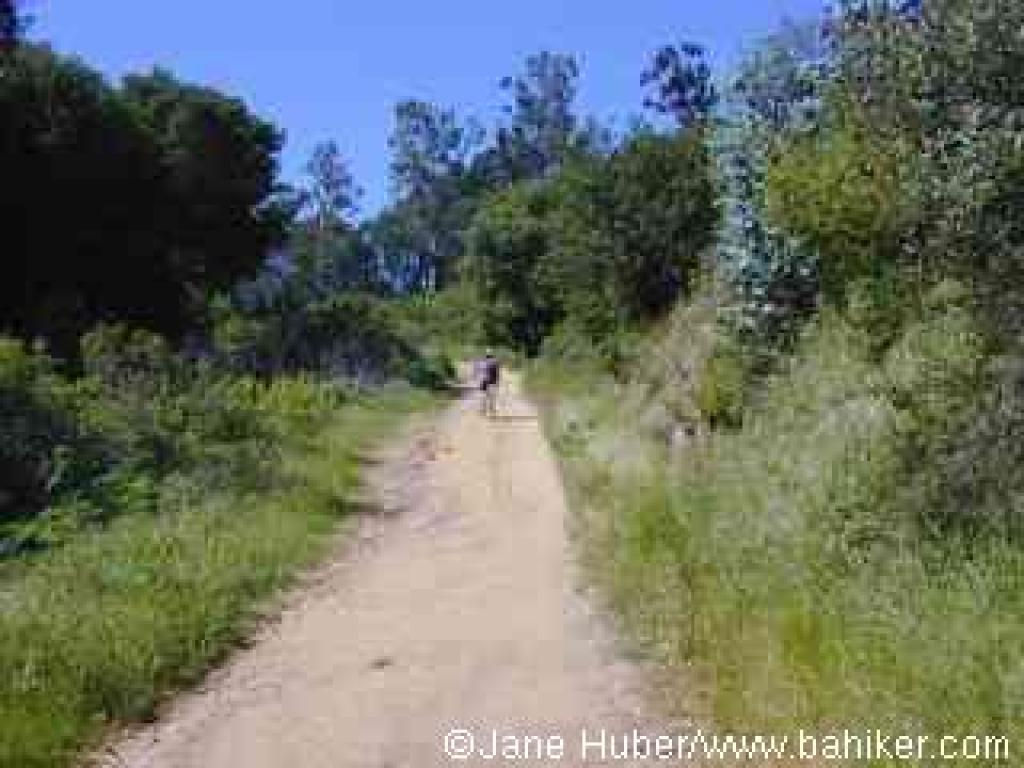 Jackson Grade
