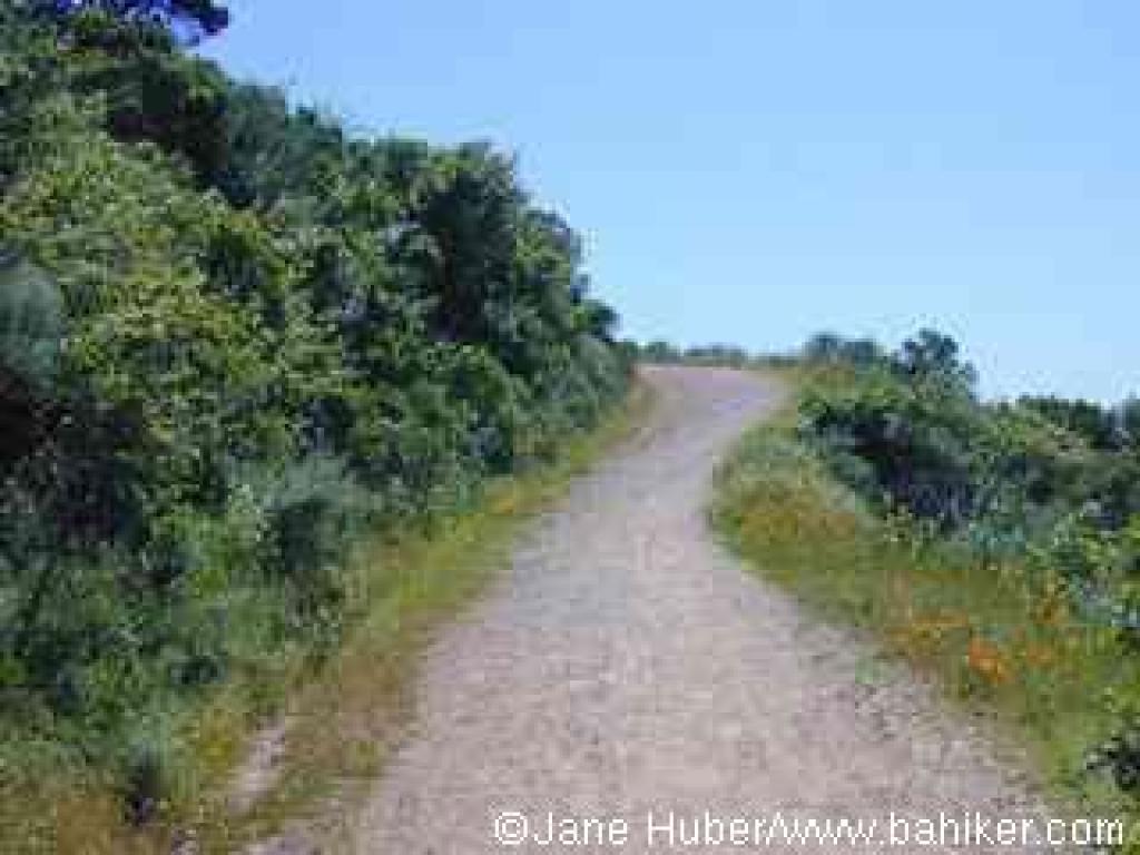 Goldenrod Trail