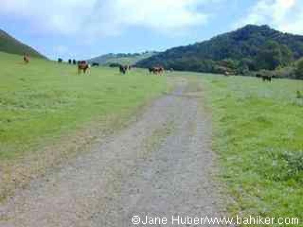 Old Briones Road