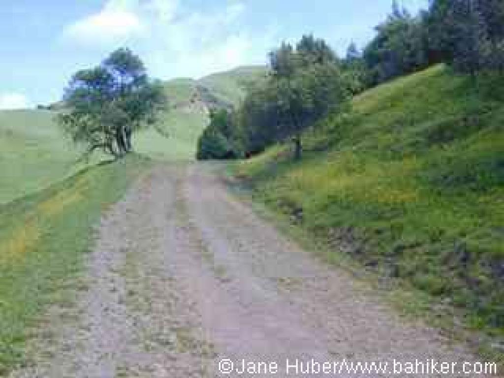 Old Briones Road
