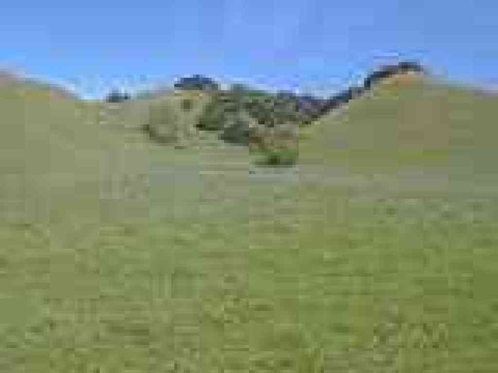 Lush hillside