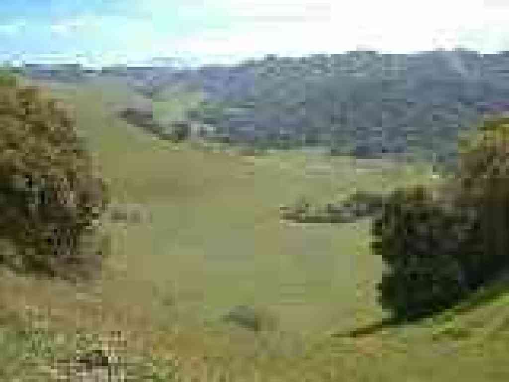 View downhill to the valley