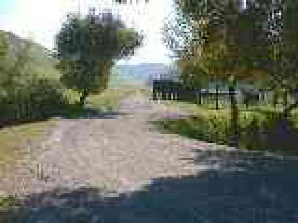 Near corral