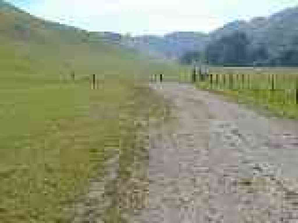 Junction