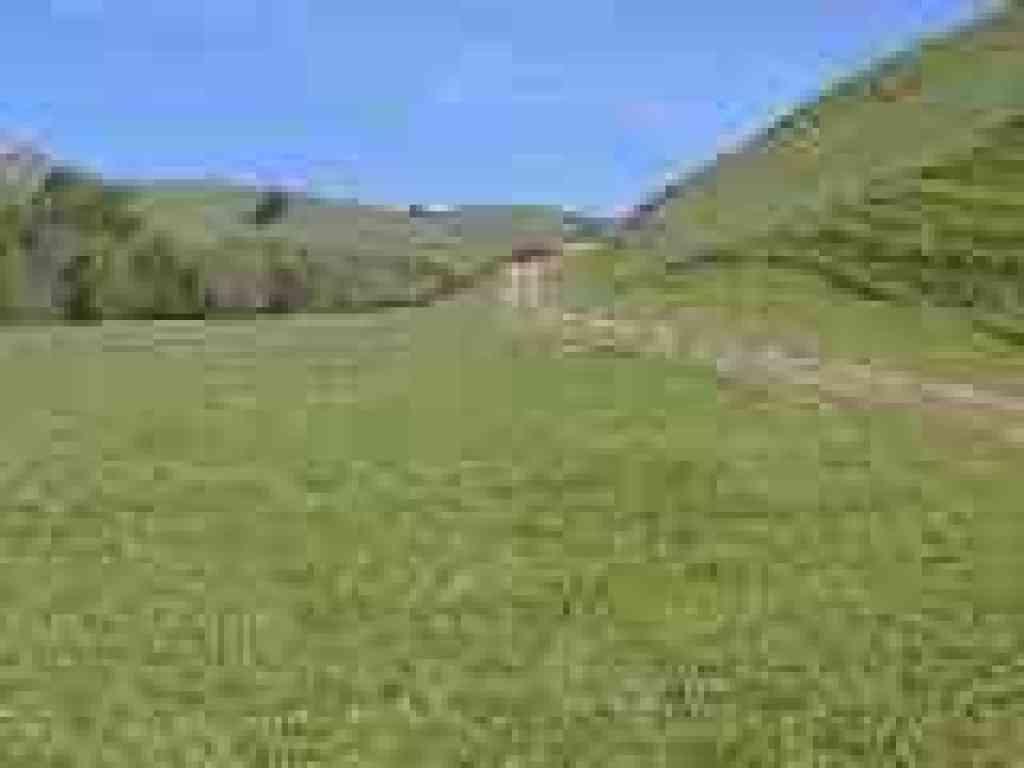 Starting uphill on Old Briones Road