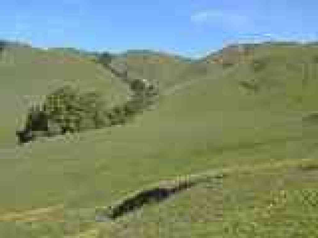 Flower-covered slopes visible