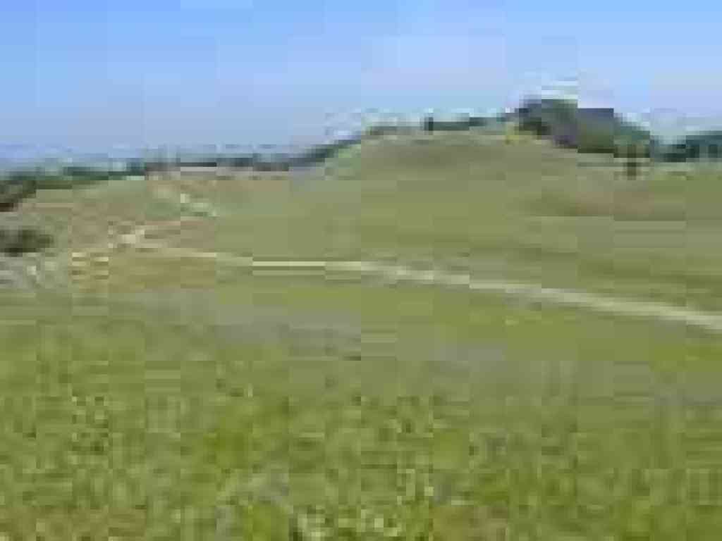 View east