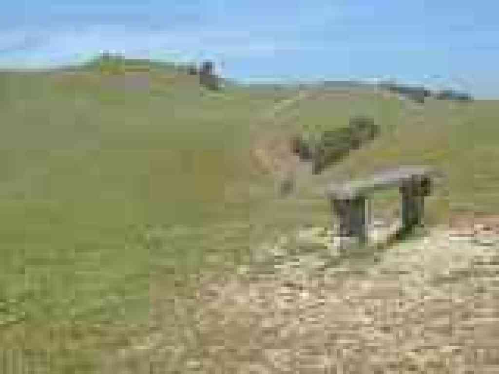 Bench