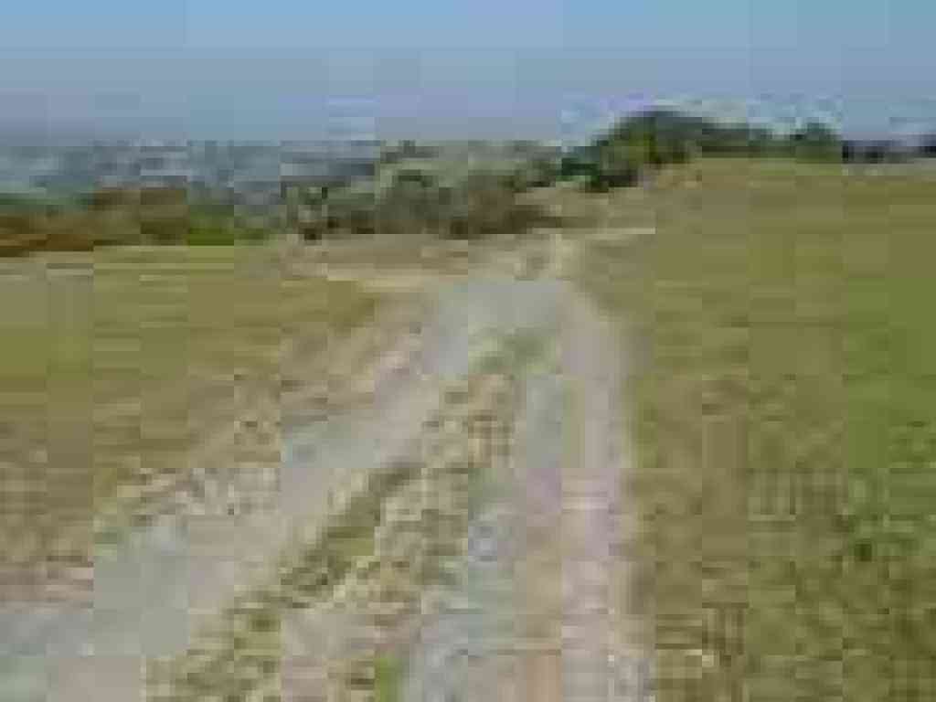 Briones Crest Trail