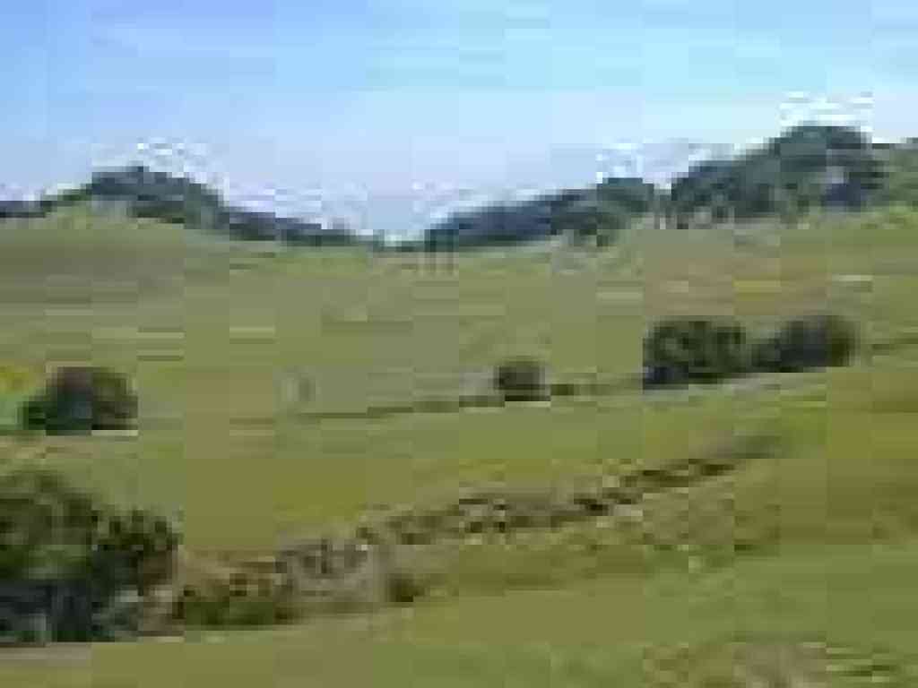 View back