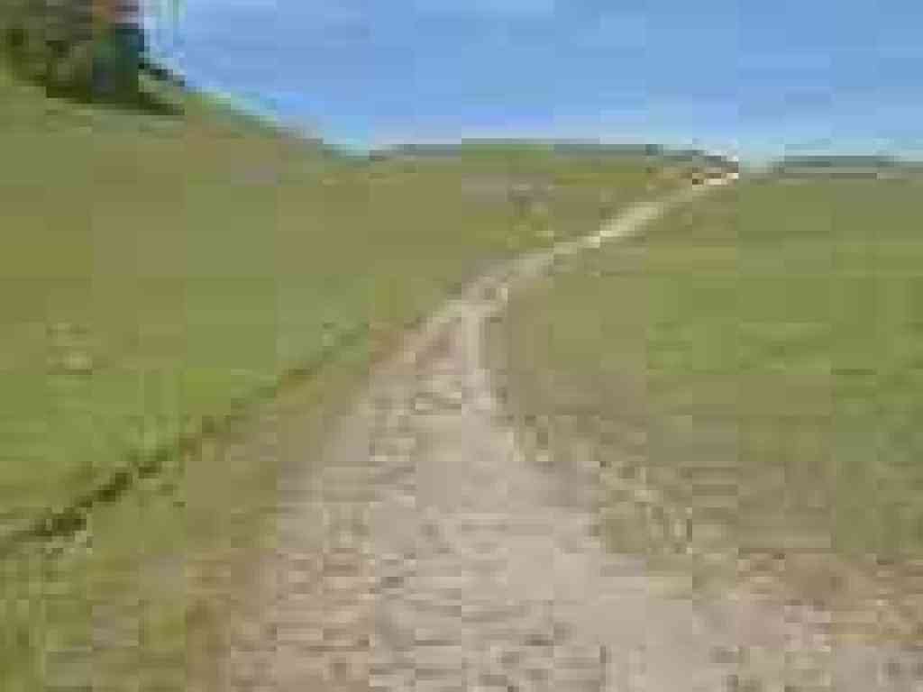 Briones Crest Trail