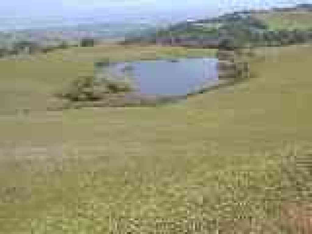 Lagoon