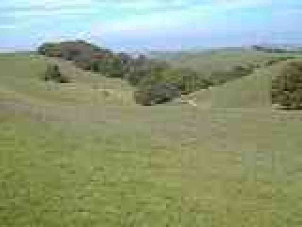 View north