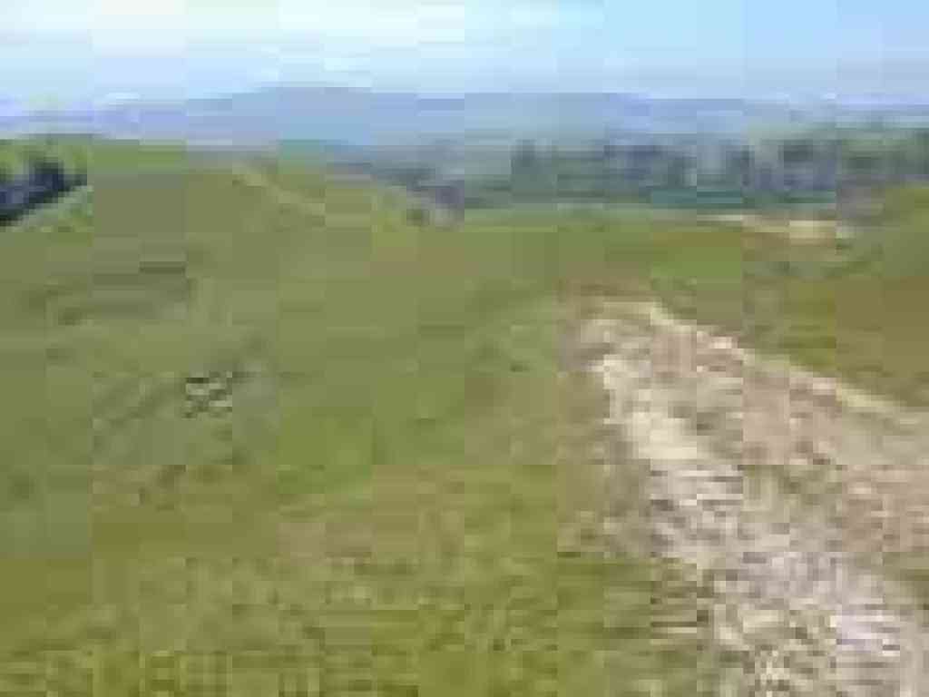 Mott Peak Trail