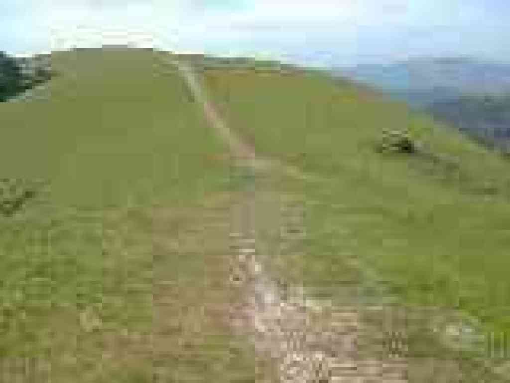 Black Oak Trail