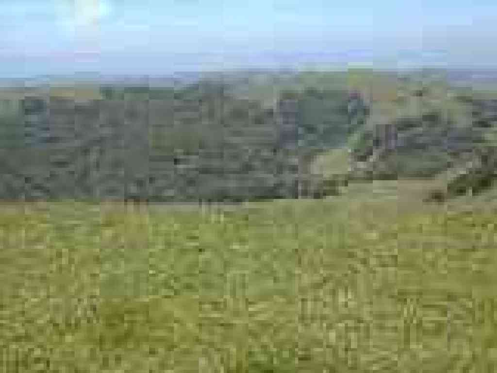 North