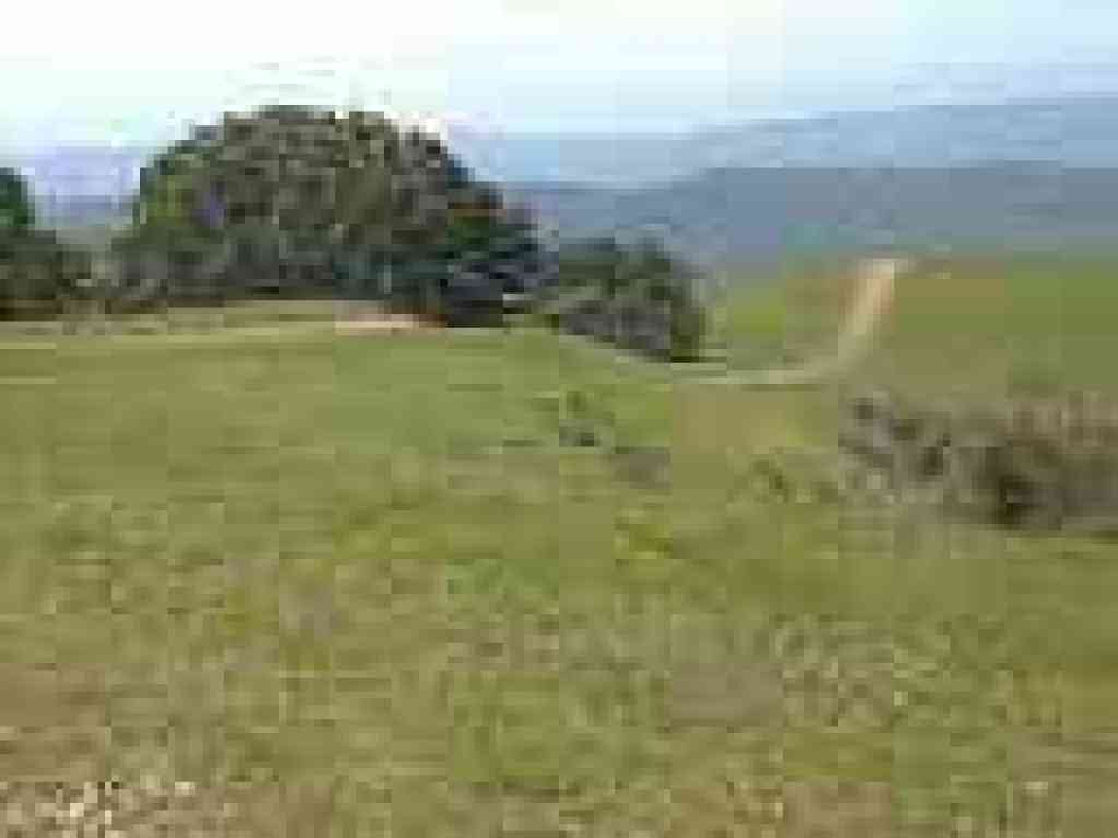 Black Oak Trail