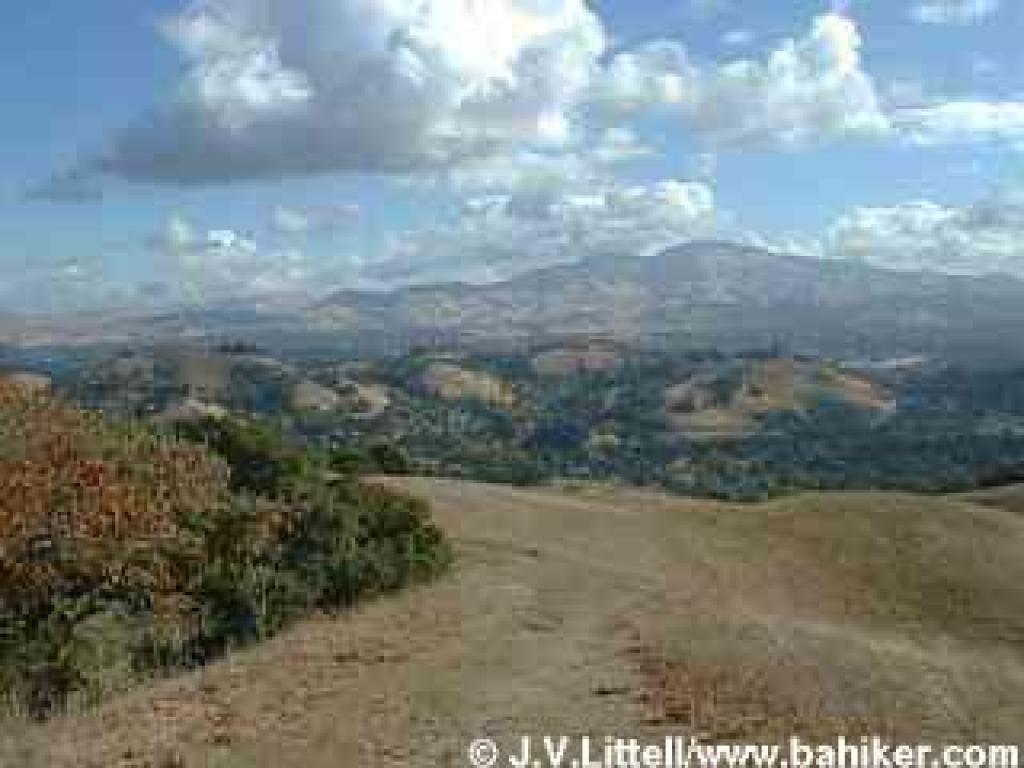 View of Mount Diablo from Lafayette Ridge Trail