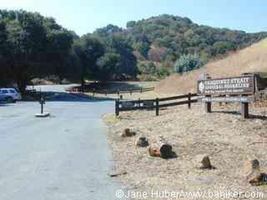 Trailhead