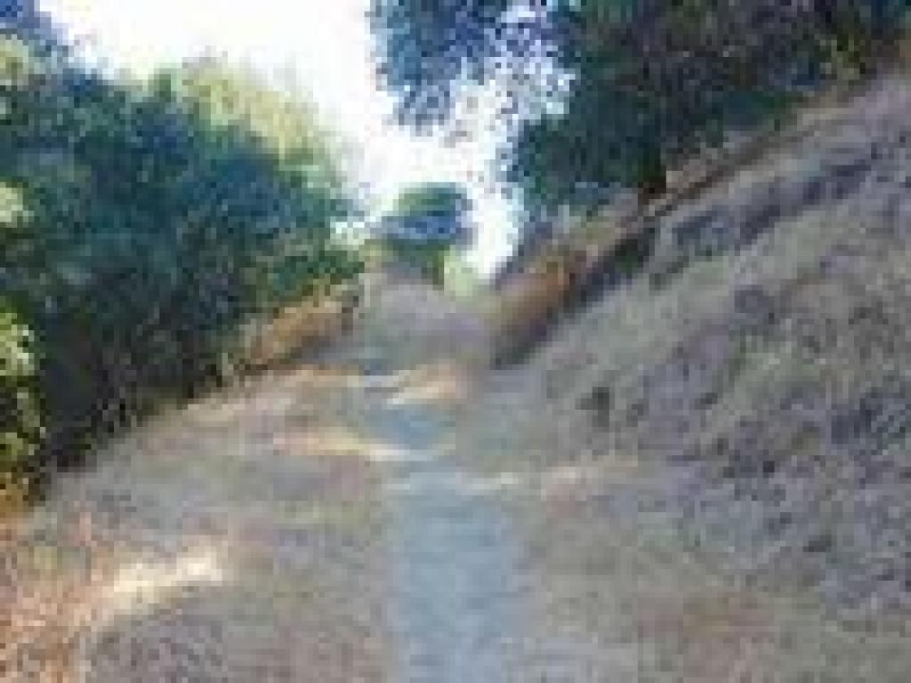 Rankin Park Trail