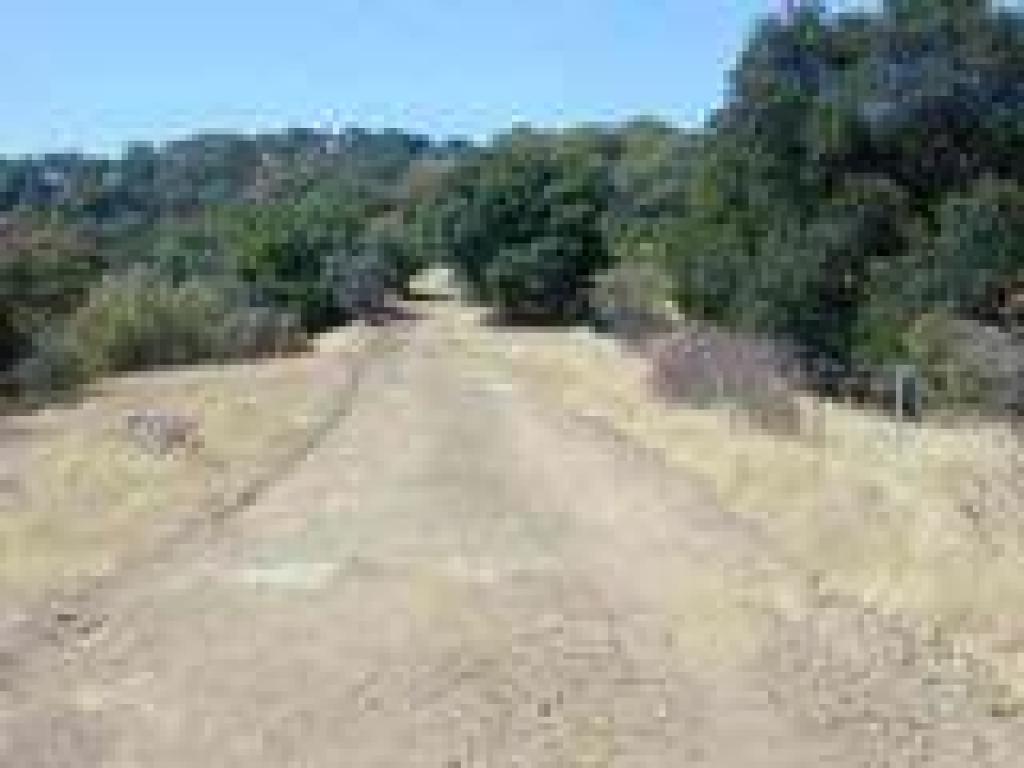 Fire road