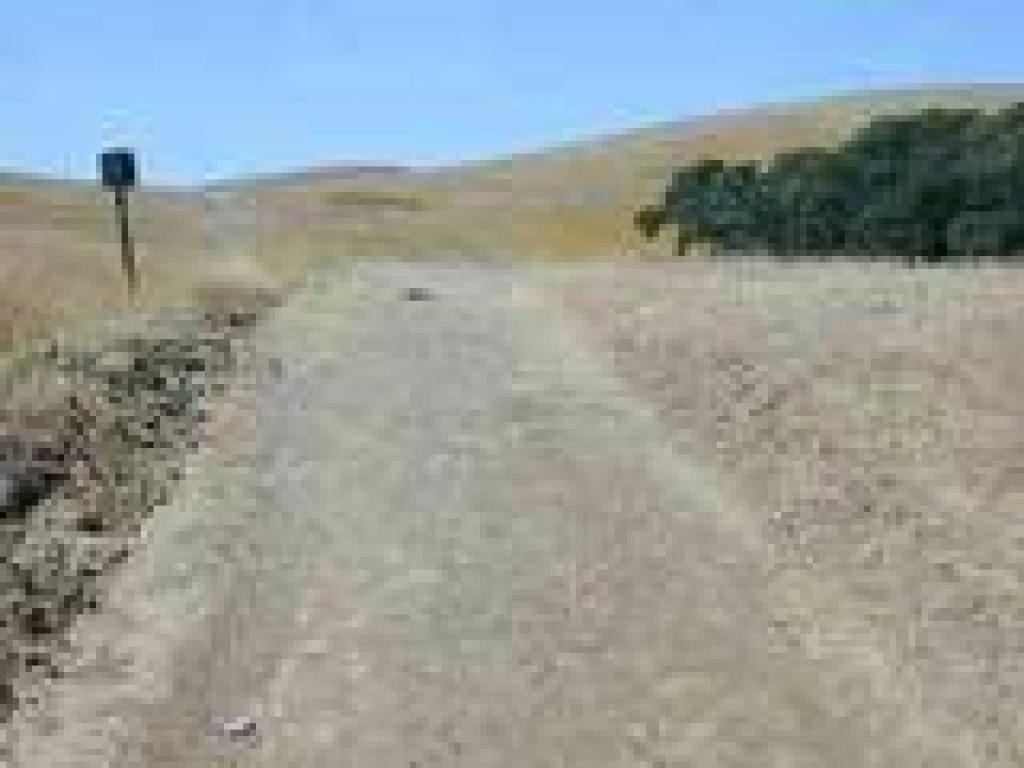 Grassland