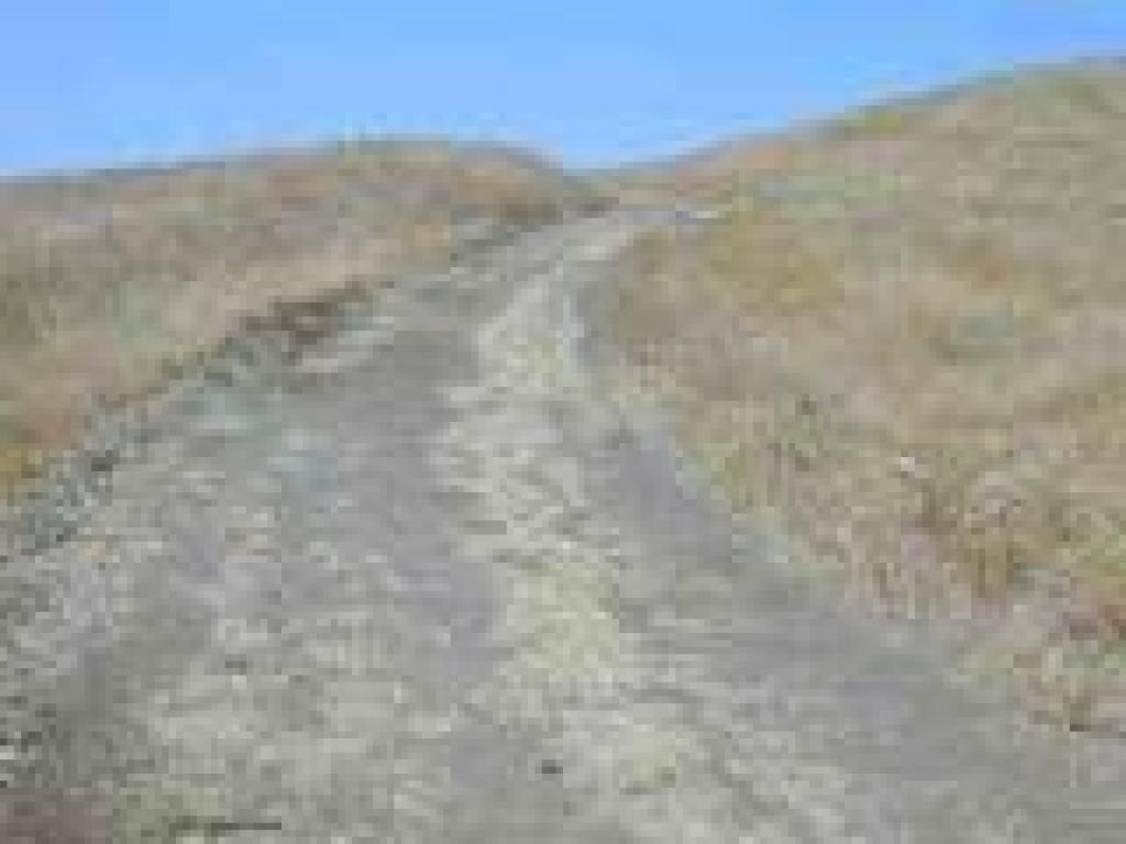 Rankin Park Trail