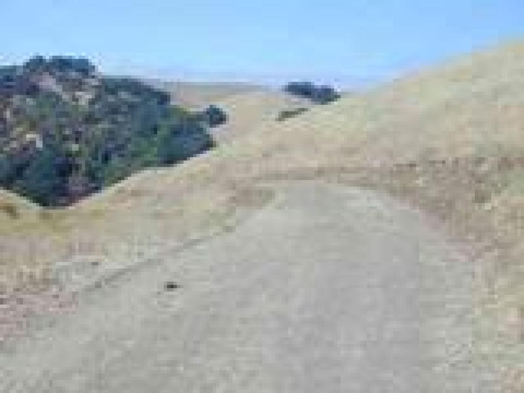 Franklin Ridge Loop Trail