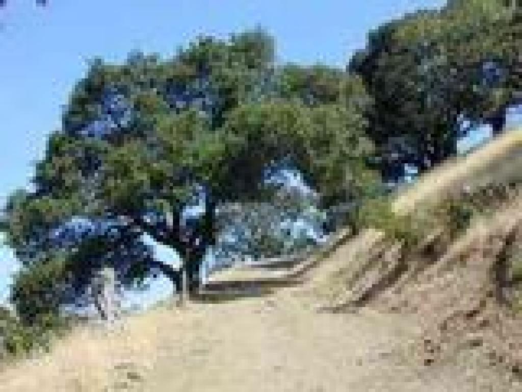 Franklin Ridge Loop Trail