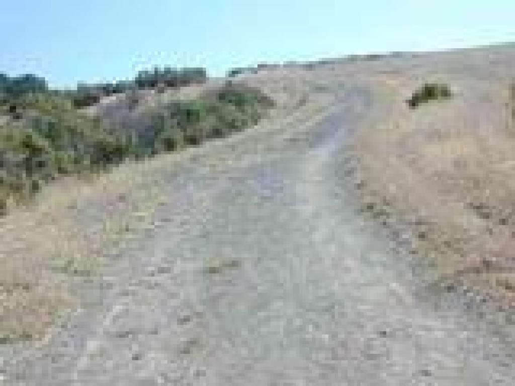 Back in grassland