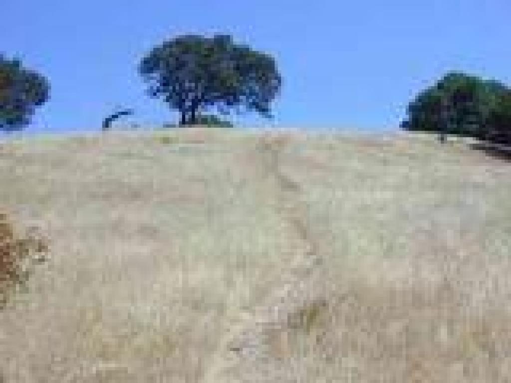 Hilltop