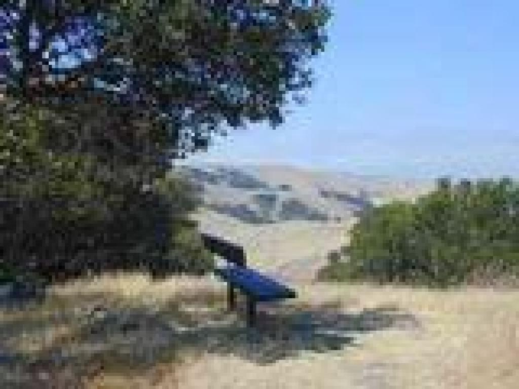 Bench