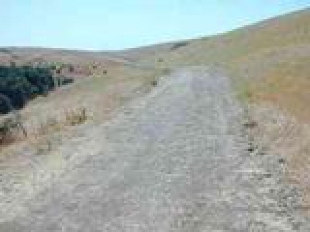 Franklin Ridge Loop Trail 