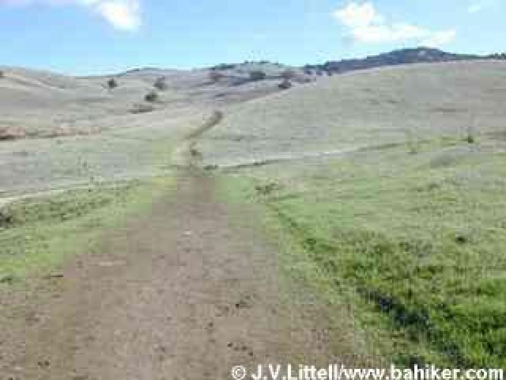 Rolling hills of Lime Ridge