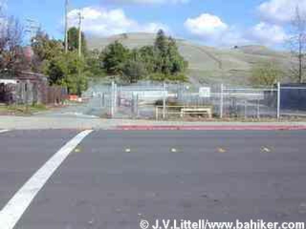 Roadside parking on Citrus Avenue