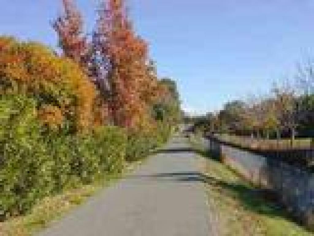 Contra Costa Canal Trail