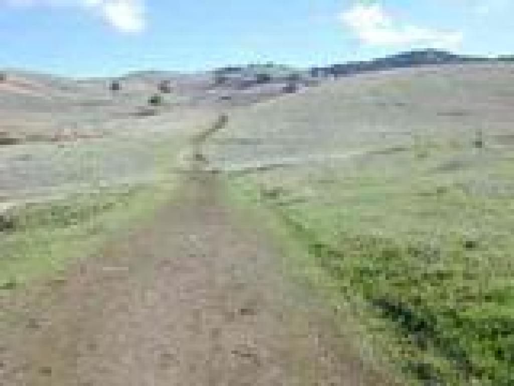 On an unnamed trail